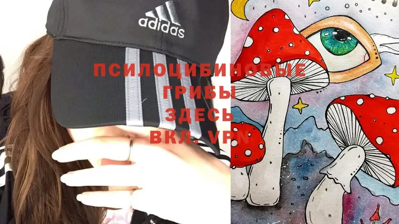 Псилоцибиновые грибы Magic Shrooms  Бокситогорск 